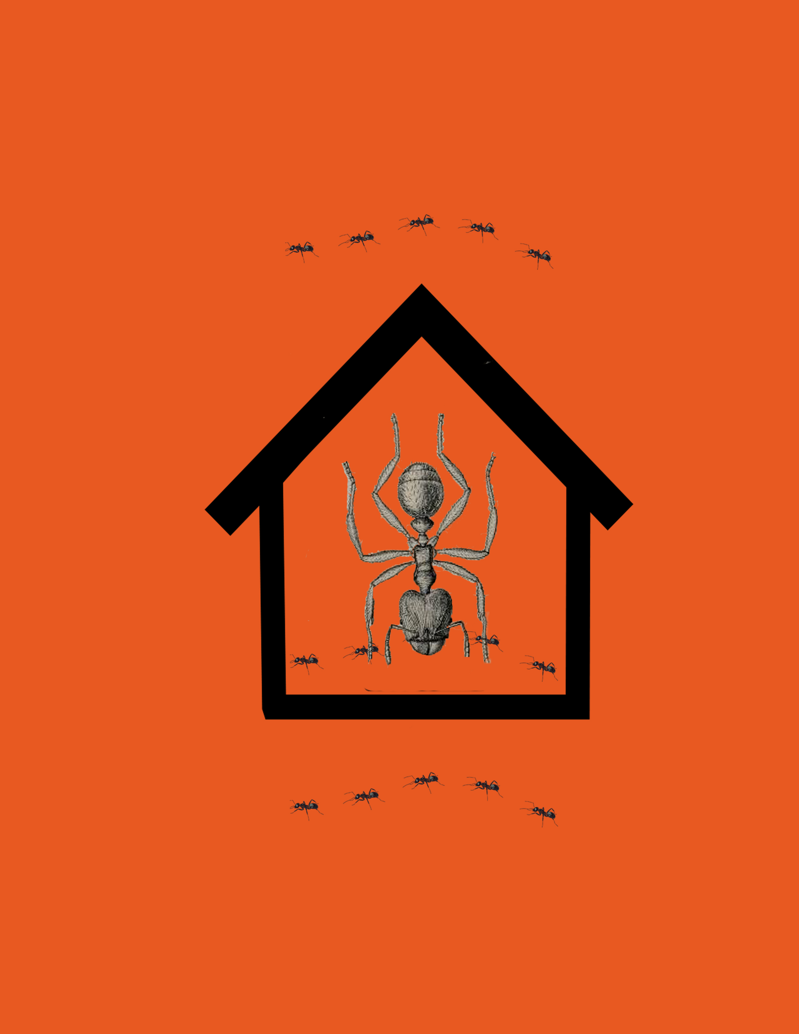 casa hormiga